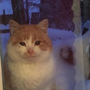 dddaemawang1's profile picture. 😁🥰