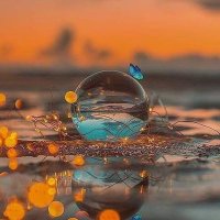 Yıldız Alioğlu (@suruny14617) 's Twitter Profile
