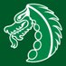 St. Mary's South Side Catholic High School (@stmarysdragons) Twitter profile photo St. Mary's South Side Catholic High School (@stmarysdragons) Twitter profile photo