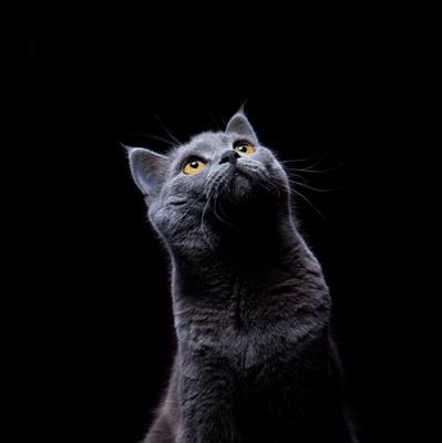 last60days's profile picture. ‏‏‏‏‏‏آخرش من موندم و خودم