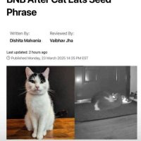 follow for follow (@phrasecat) 's Twitter Profile