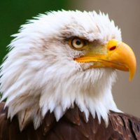 Sabrina (@sabrinamodel345) 's Twitter Profile