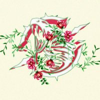 Injuria (@injuriawaw) 's Twitter Profile Photo