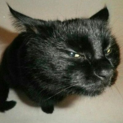 5374k3m's profile picture. 