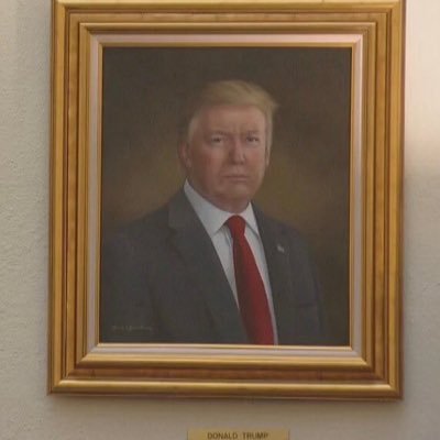 prytula_vlad's profile picture. 