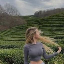 Jocou818's profile picture. 