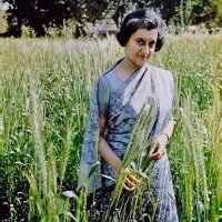 Mithlesh Dingiya (@dingiyamithlesh) 's Twitter Profile