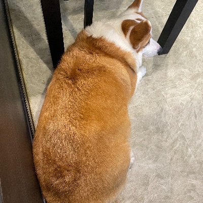 FbeC8s's profile picture. 除了帥沒啥好說