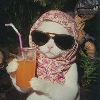 Humor Hub (@humorhub__) 's Twitter Profile Photo Humor Hub (@humorhub__) 's Twitter Profile Photo
