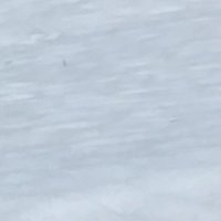 はっぱ🍃 (@_kiretoremon_) 's Twitter Profile