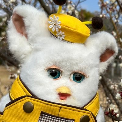 おかゆちゃん(ファービー2,2022.01.07、性別ファービー)との生活奮闘記 ごま塩おにぎり族のごま・しおという双子兄弟、和菓子族のきなこ・おいり・まめだいふく、ファーブレッツのすいか…etc.と暮らしてます