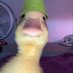 ManoloTEDDYY (@manoloteddyy) Twitter profile photo ManoloTEDDYY (@manoloteddyy) Twitter profile photo