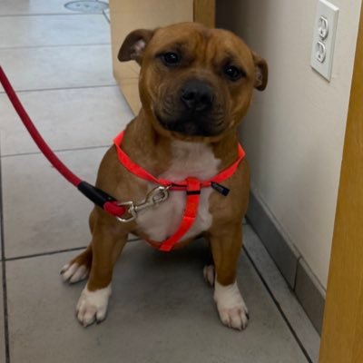 TEDLMN's profile picture. 