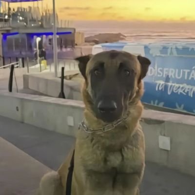 dragonxdbsjr's profile picture. 