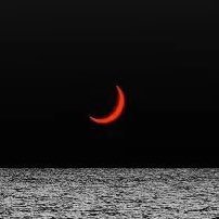 deepinwk1's profile picture. @deepinwk 🏳️