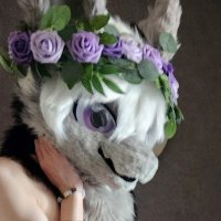 evil shark (@evilshark_ad) 's Twitter Profile