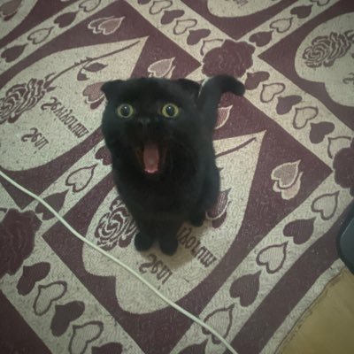 ugra35's profile picture. İnsan kolay inanan bir canlıdır. Bir şeylere inanmak zorundadır. İnanmak için iyi bir sebep bulamadığında, elindeki kötü sebeplerle yetinir!