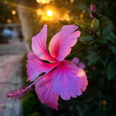 anureet_sahota's profile picture. 