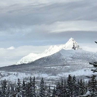 ni29219's profile picture. Small Time investor