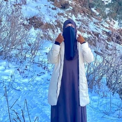 areejkashmir's profile picture. 