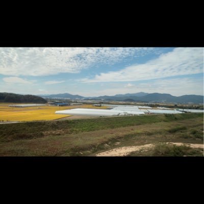 dampsqib's profile picture. .