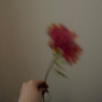 いぶ (@1v1v1v1vk) 's Twitter Profile