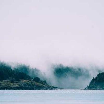 BonalumiTr38741's profile picture. 