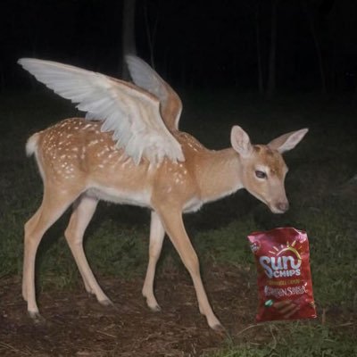 gidiuppp's profile picture. publick universal girlfriend