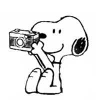 tzp as snoopy ♡ (@tzpsnoopy) 's Twitter Profile