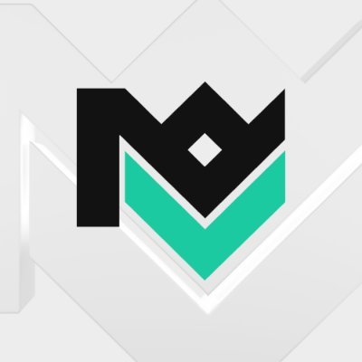 Navile eSports Profile