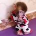 lele o macaco (@sadacacam) Twitter profile photo lele o macaco (@sadacacam) Twitter profile photo