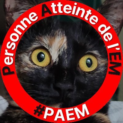 @papillyon