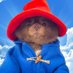Bert 🧸 🐶 (@bertcoincto) Twitter profile photo Bert 🧸 🐶 (@bertcoincto) Twitter profile photo