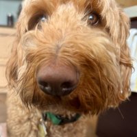 Clayton Rung (@claytonrung) Twitter profile photo