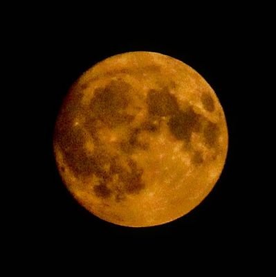 SteveAl09154970's profile picture. 50 not out...