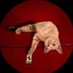 feev (@lesbian4ferrari) Twitter profile photo feev (@lesbian4ferrari) Twitter profile photo