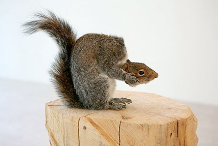 KatyPalmerama's profile picture. http://t.co/za9LxRcPhz talking to me is like doing long division. views are generally stolen. i like schtollen too.