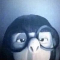 chasm (@chasmp) 's Twitter Profile