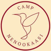 Camp Nenookaasi (@campnenookaasi) 's Twitter Profile Photo