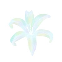Lily (@riri_snowwhite) 's Twitter Profile Photo Lily (@riri_snowwhite) 's Twitter Profile Photo