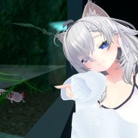 すぷラウト🌱 (@sprout_brotar_) 's Twitter Profile