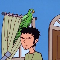 mathew (@orangemahdi) 's Twitter Profile Photo mathew (@orangemahdi) 's Twitter Profile Photo