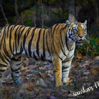 Paritosh Singh (@singhp002) 's Twitter Profile Photo Paritosh Singh (@singhp002) 's Twitter Profile Photo