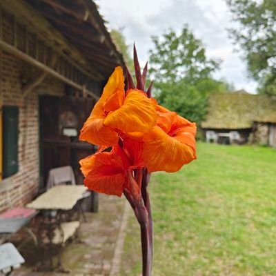 andrieshendrik's profile picture. Gute Freunde sind diejenigen, mit denen ich nicht automatisch einer Meinung bin.