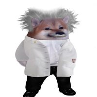Rocca (@ghostofroc) 's Twitter Profile Photo Rocca (@ghostofroc) 's Twitter Profile Photo