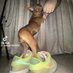 gen z in crisis (@lelo_br) Twitter profile photo gen z in crisis (@lelo_br) Twitter profile photo