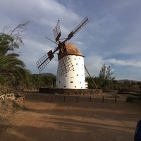 Moni (@2361sicherung) Twitter profile photo