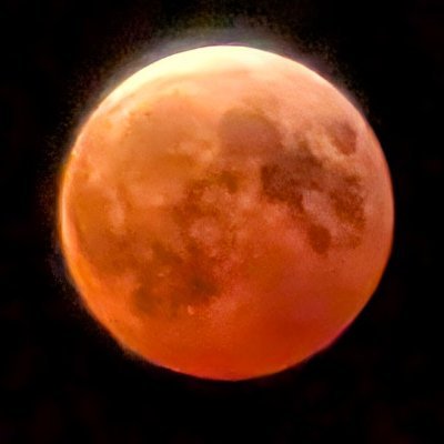 Princely_Paris's profile picture. 'Not only didn't I back down, I backed up.'