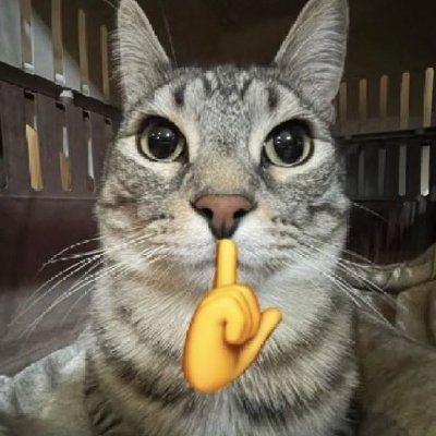 mycatissigma's profile picture. ugc creator soon...