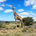 watching_it_all_pass_by (@johnc_rsa) Twitter profile photo watching_it_all_pass_by (@johnc_rsa) Twitter profile photo